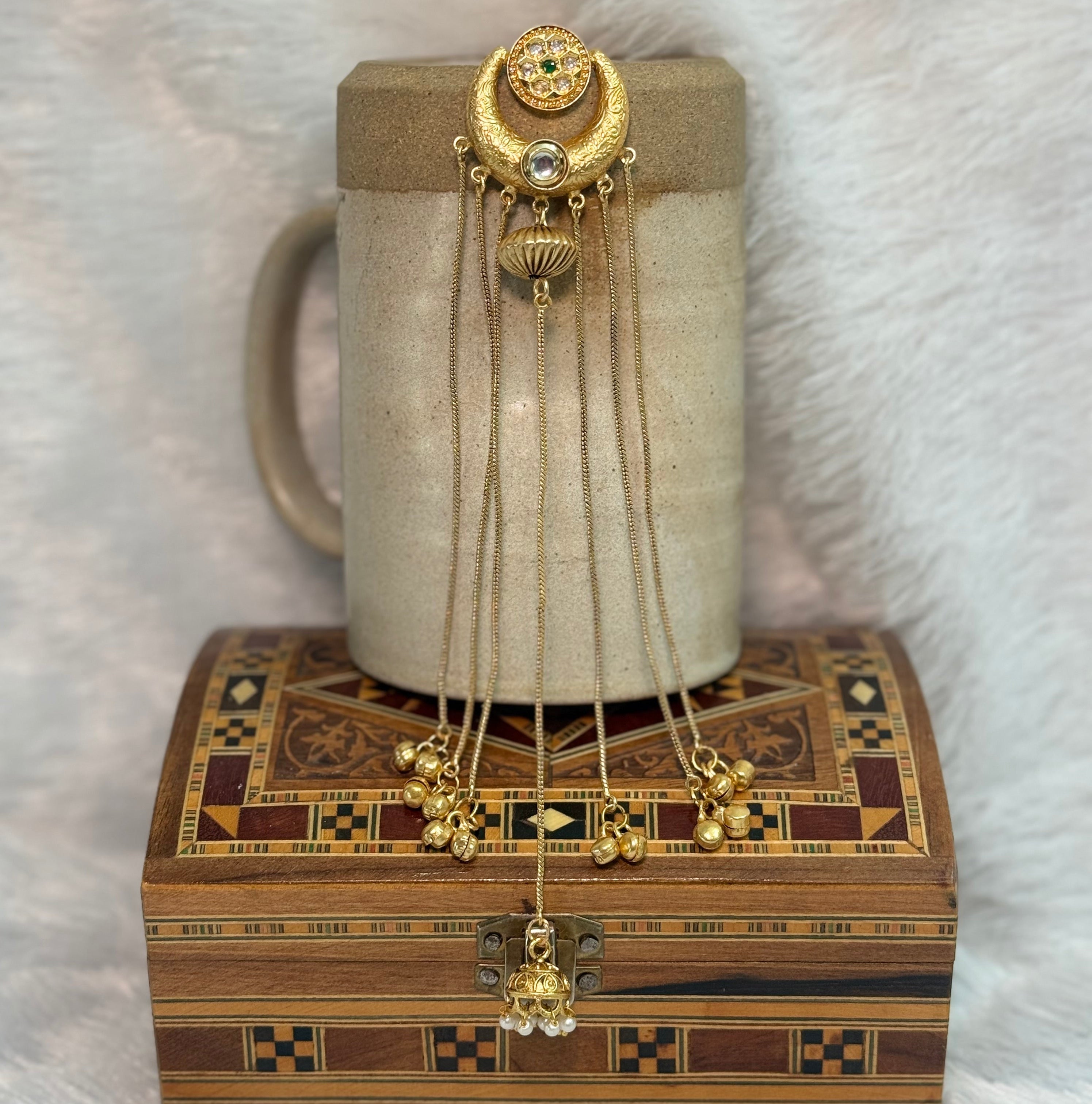 Noor Jharokha Long Earrings